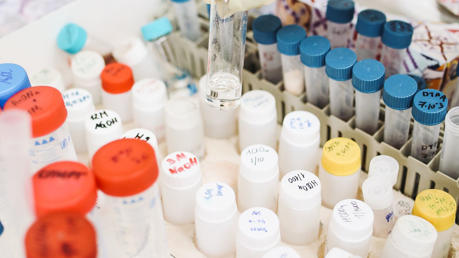 A gloved hand holds a row of test tubes in a busy laboratory.